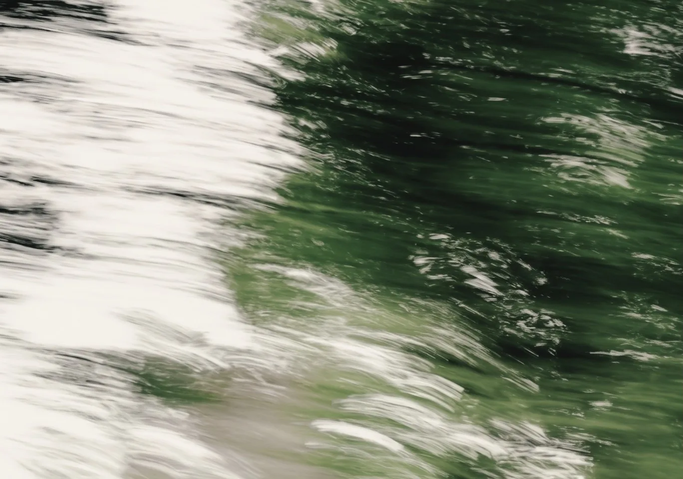 Grasses and leaves caught in motion, a green blur.